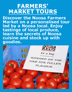 Farmers Market Tours